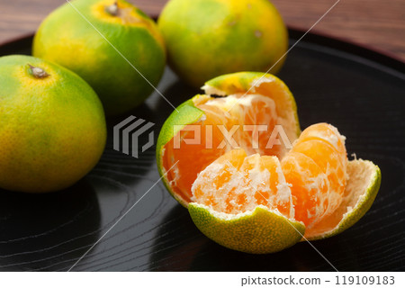 早熟橙子 119109183