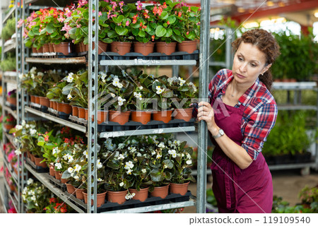 Woman seller examines seedlings of begonia before sending them to customer, 119109540