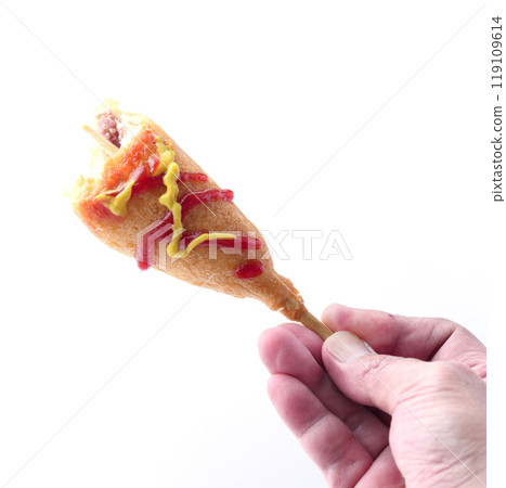 美國狗狗快餐(白色背景) 美國狗狗快餐(白色背景) 119109614