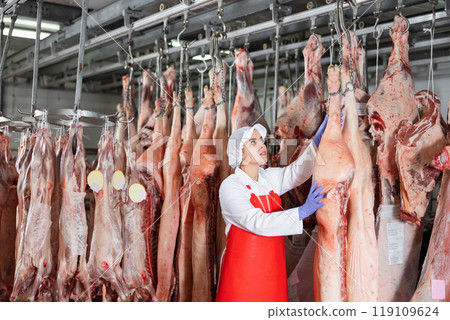 Female butcher checking raw pork carcasses hanging in chilling room Female butcher checking raw pork carcasses hanging in chilling room 119109624