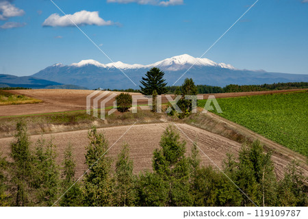 Wheat field hills and earth 119109787