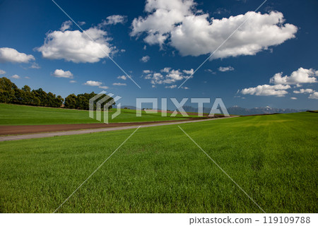Wheat field hills and earth Wheat field hills and earth 119109788