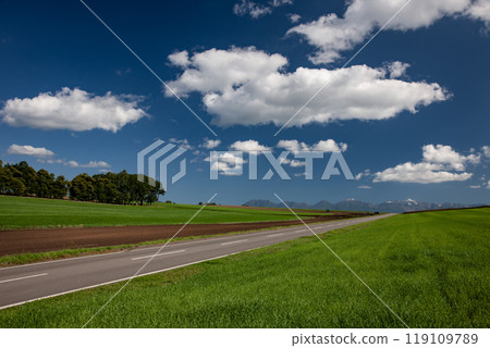 Wheat field hills and earth 119109789