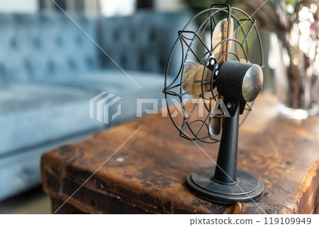 A room with antique goods 119109949