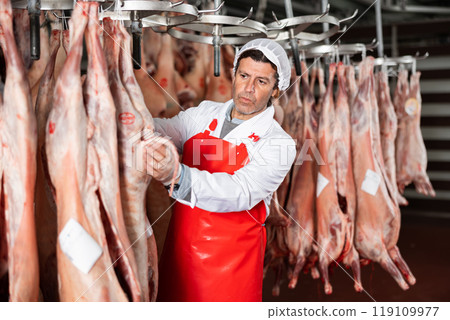 Male slaughterhouse worker inspecting mutton carcass in meat storage 119109977