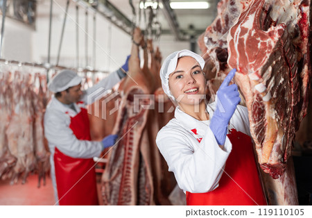 Female butcher in slaughterhouse showing piece of cow carcass 119110105