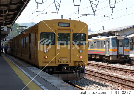 Hakubi Line 115 series 1600 train parked at Niimi Station (Okayama ⇔ Niimi) Hakubi Line 115 series 1600 train parked at Niimi Station (Okayama ⇔ Niimi) 119110237