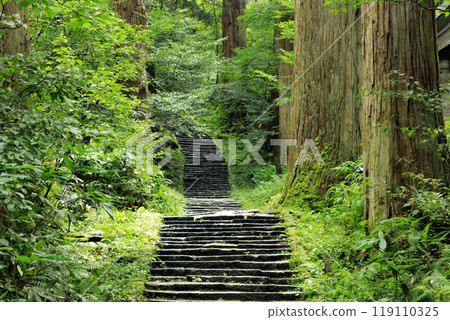 鶴岡市羽黑山出羽三山神社一坂 119110325