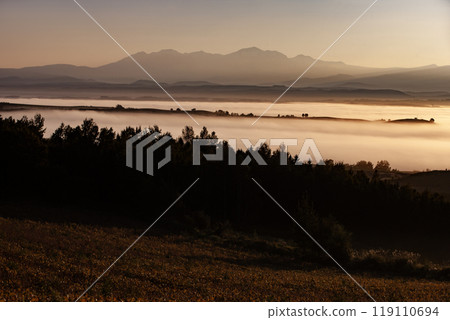 Beautiful morning mist on the hills and land 119110694