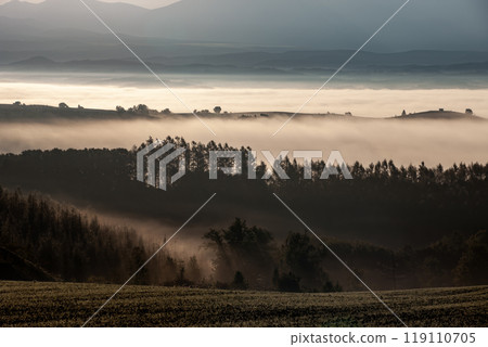 Beautiful morning mist on the hills and land 119110705