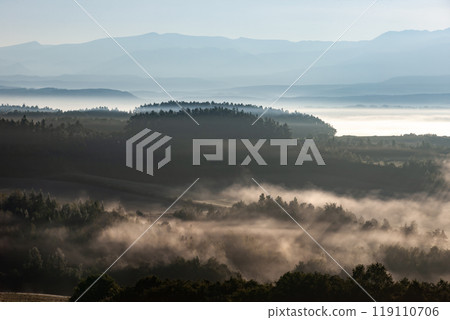 Beautiful morning mist on the hills and land 119110706