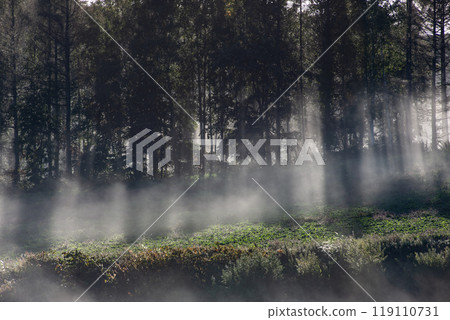 Beautiful morning mist on the hills and land Beautiful morning mist on the hills and land 119110731