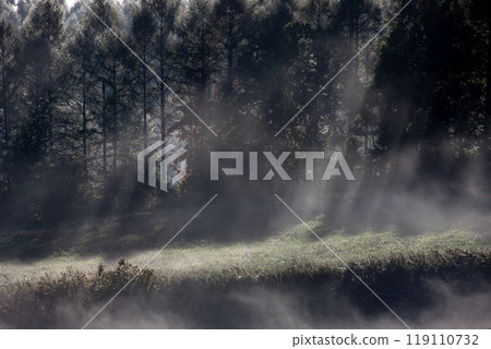 Beautiful morning mist on the hills and land Beautiful morning mist on the hills and land 119110732