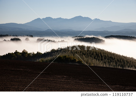 Beautiful morning mist on the hills and land 119110737