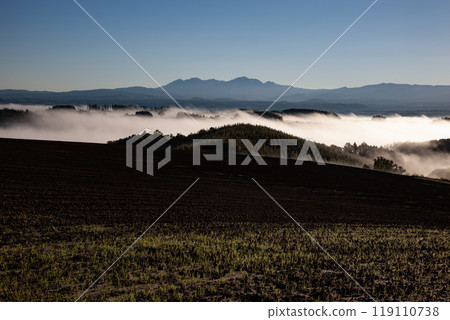 美麗的晨霧山丘與土地 美麗的晨霧山丘與土地 119110738
