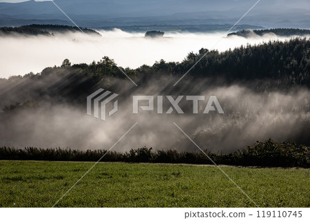 美麗的晨霧山丘與土地 美麗的晨霧山丘與土地 119110745