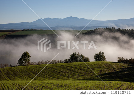 Beautiful morning mist on the hills and land Beautiful morning mist on the hills and land 119110751