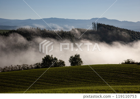 Beautiful morning mist on the hills and land 119110753