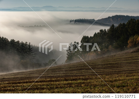 美麗的晨霧山丘與土地 119110771