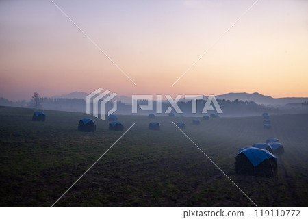 美麗的晨霧山丘與土地 美麗的晨霧山丘與土地 119110772