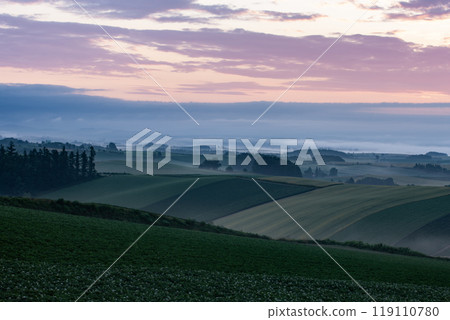 美麗的晨霧山丘與土地 119110780