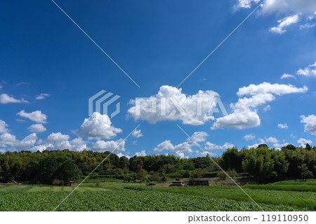 Rural landscape and summer sky copy space Rural landscape and summer sky copy space 119110950
