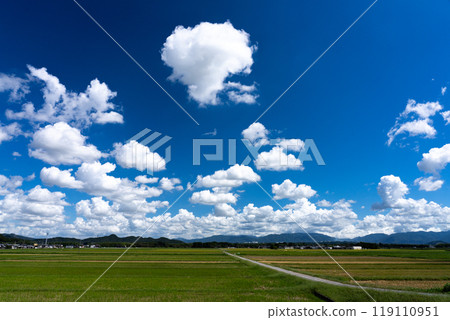 鄉村景觀與夏日天空複製空間 鄉村景觀與夏日天空複製空間 119110951