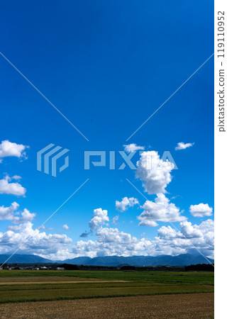 鄉村景觀與夏日天空複製空間 鄉村景觀與夏日天空複製空間 119110952