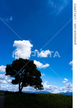 鄉村景觀與夏日天空複製空間 鄉村景觀與夏日天空複製空間 119110953