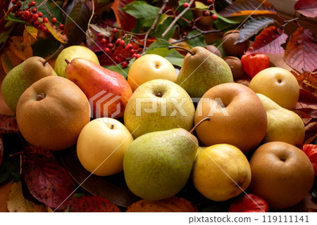 各種秋梨 (3) 119111141