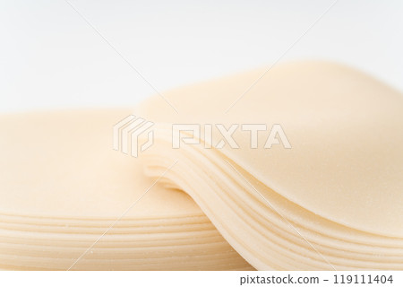 Close-up of gyoza skin 119111404