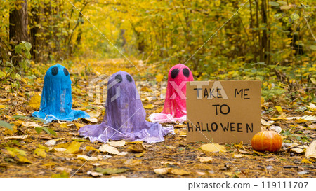Trick or treat halloween colorful ghosts made of bandages with cardboard TAKE ME TO HALLOWEEN text in fall autumnal forest. Halloween greeting card. Handicraft handmade diy Trick or treat halloween colorful ghosts made of bandages with cardboard TAKE ME TO HALLOWEEN text in fall autumnal forest. Halloween greeting card. Handicraft handmade diy 119111707
