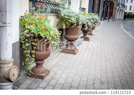 Concrete design flower pots with plants and flowers near the house, greening of the city Concrete design flower pots with plants and flowers near the house, greening of the city 119111723