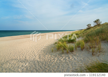 Long white sand beach in the Curonian Spit National Park. Kaliningrad region. Russia 119112140
