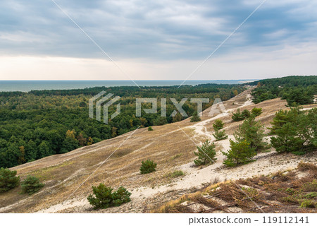 View of Cape from observation deck on Olenya Buda dunes. Curonian Spit National Park. Russia View of Cape from observation deck on Olenya Buda dunes. Curonian Spit National Park. Russia 119112141