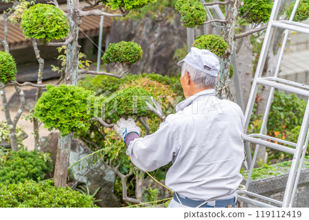 Working seniors contribute to the local community Garden tree pruning service 119112419