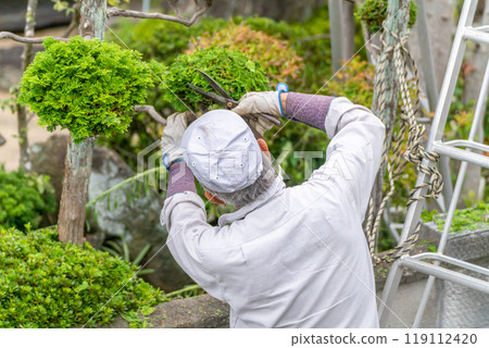 Working seniors contribute to the local community Garden tree pruning service 119112420