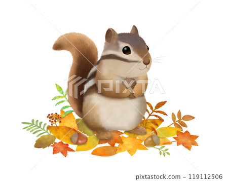 松鼠背景A-1 119112506