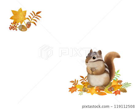 Squirrel background B-1 119112508