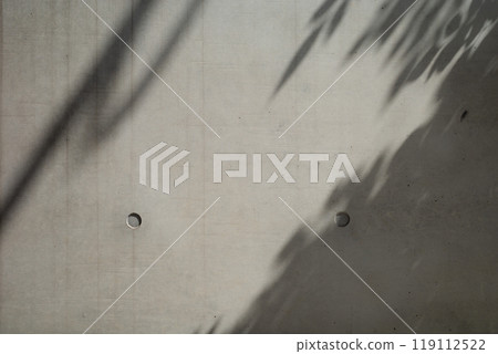 Exposed concrete wall, background with shadows of trees, etc. b-1-1 Dark color Exposed concrete wall, background with shadows of trees, etc. b-1-1 Dark color 119112522