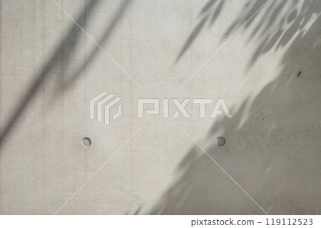 Exposed concrete wall with shadows of trees etc. b-1-2 Color Exposed concrete wall with shadows of trees etc. b-1-2 Color 119112523