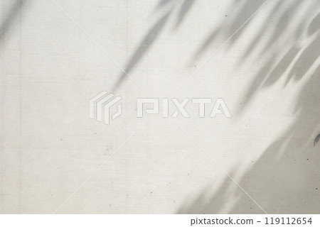 Exposed concrete wall, background with shadows of trees, etc. c-1-3 Light color Exposed concrete wall, background with shadows of trees, etc. c-1-3 Light color 119112654