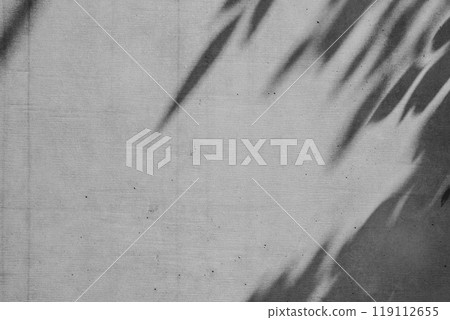 Exposed concrete wall, background with shadows of trees, etc. c-2-1, dark monochrome Exposed concrete wall, background with shadows of trees, etc. c-2-1, dark monochrome 119112655