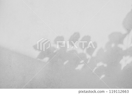 Exposed concrete wall, background with shadows of trees, etc. d-2-3 Monochrome light Exposed concrete wall, background with shadows of trees, etc. d-2-3 Monochrome light 119112663