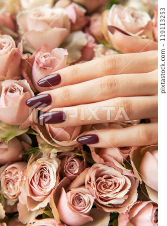 Elegant hand with dark maroon nails resting on a bed of soft pink and cream roses 119113253