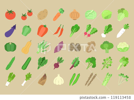 Simple vegetable illustration set 119113458