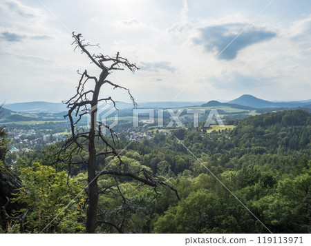 Panoramic view from sandstone rock lookout Jehla near Ceska Kamenice town. Summer landscape in Lusatian Mountains with green hills and mixed forest. Dried pine tree in foreground Panoramic view from sandstone rock lookout Jehla near Ceska Kamenice town. Summer landscape in Lusatian Mountains with green hills and mixed forest. Dried pine tree in foreground 119113971
