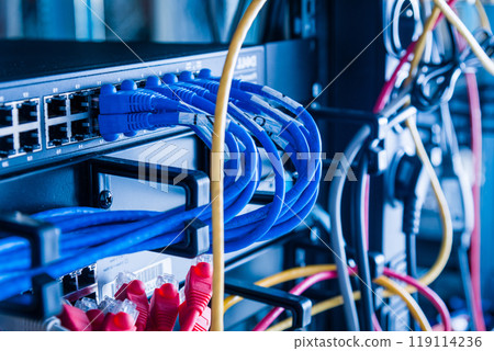 blue ethernet cables connected to switch 119114236