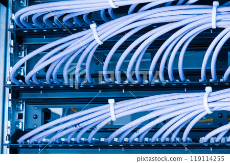 large group of UTP cables, Ethernet cables in rack cabinet, lead large group of UTP cables, Ethernet cables in rack cabinet, lead 119114255
