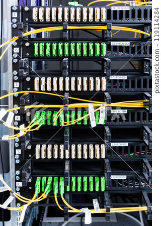 Fiber Optic cables connected to an optic ports 119114284